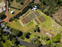 Ethiopia - Keramo (Washed)