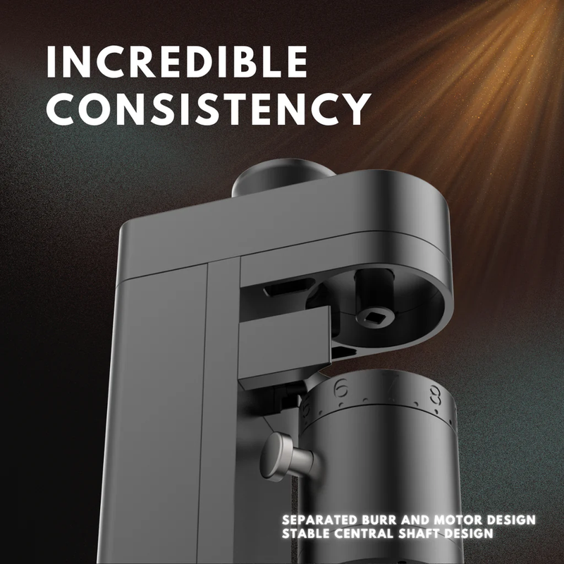 Femobook A4Z Electric Coffee Grinder