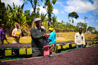 Ethiopia  - Keramo (Washed)