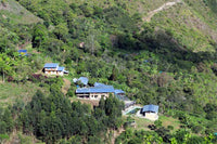 Peru - Churupampa (Washed)